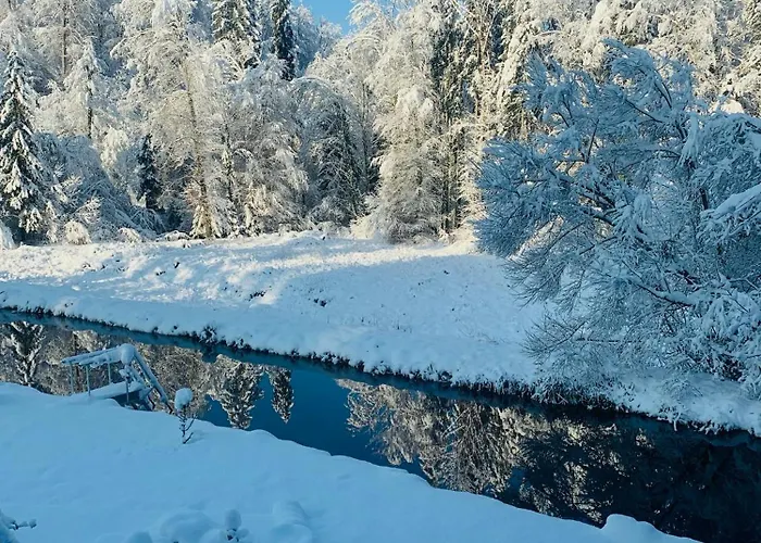 HJEM - Tiny Homes direkt am Wald zwischen Allgäu&Bodensee